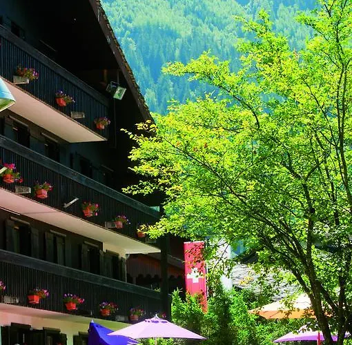 Vtf Les Econtres Tatil parkı Chamonix